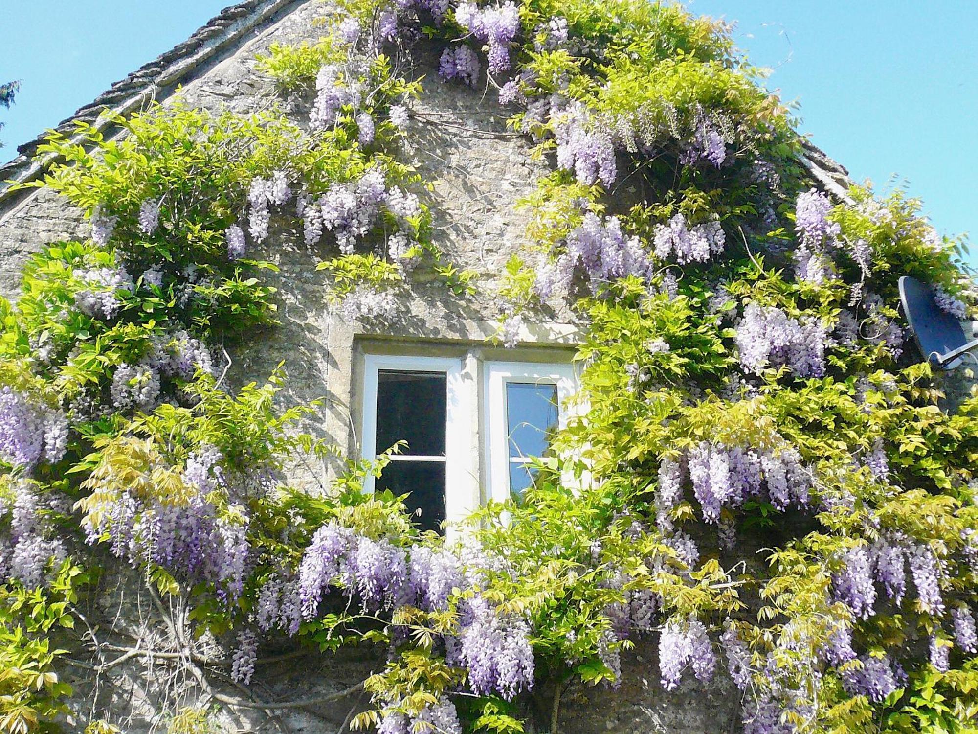 Ivy Cottage Chedworth Luaran gambar